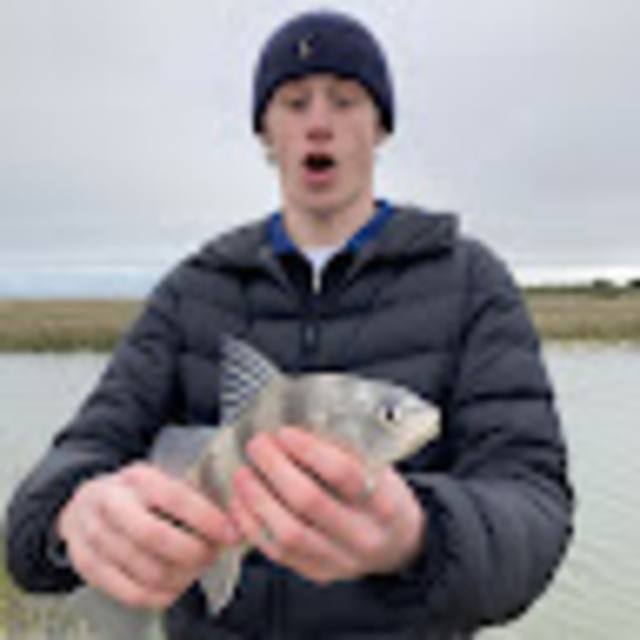 kronajunkie